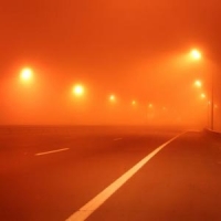 Driving In Foggy Weather